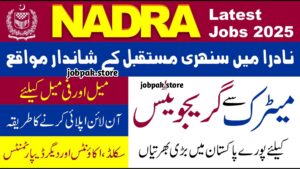 NADRA Jobs